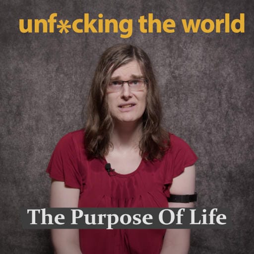Watch on YouTube Episode 4 of the Unfucking The World Podcast.