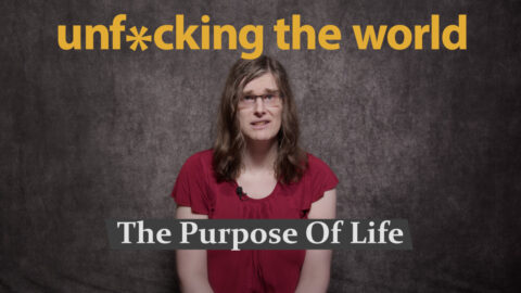 The Purpose Of Life The Purpose Of Life